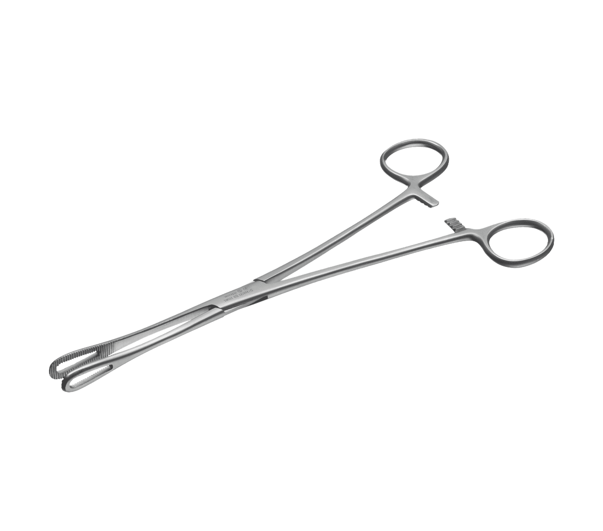 Multigate Rampley Forcep 25Cm