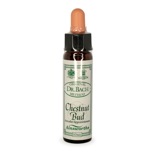 Ainsworths Bach Flower Essence – Chestnut Bud 10mL