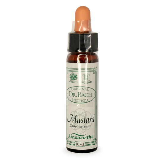 Ainsworths Bach Flower Essence – Mustard 10mL