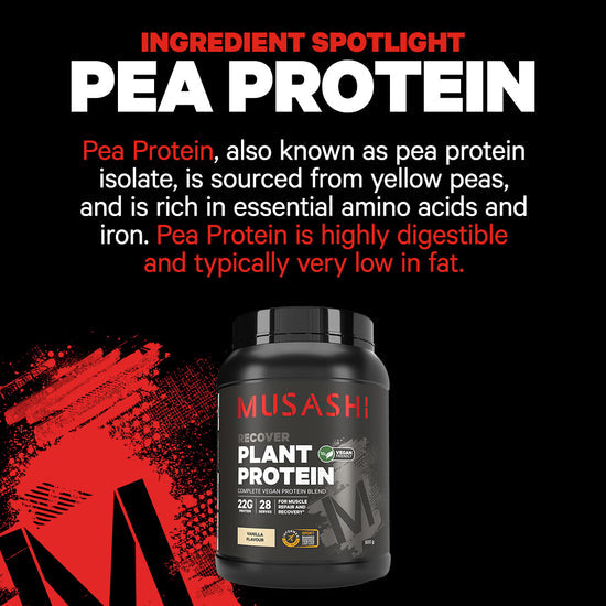 Musashi Plant Protein Powder