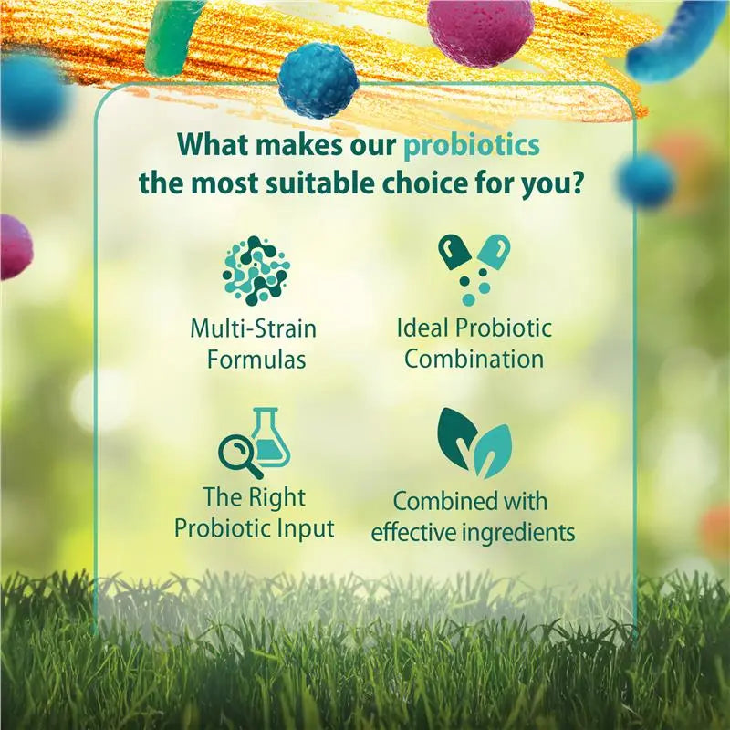 Caruso’s Indigestion Eze Probiotic 50 Capsules