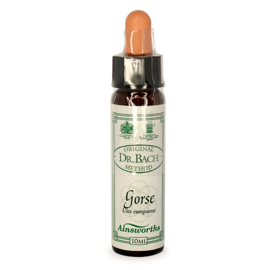 Ainsworths Bach Flower Essence – Gorse 10mL