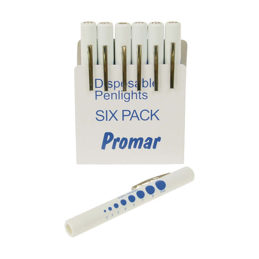 Disposable Pen Light/Torch Each