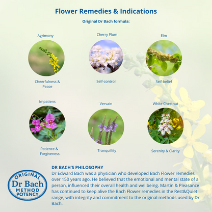 Ainsworths Bach Flower Essense Full Kit