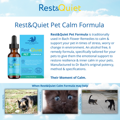 Rest&Quiet Pet Formula Drops 15mL