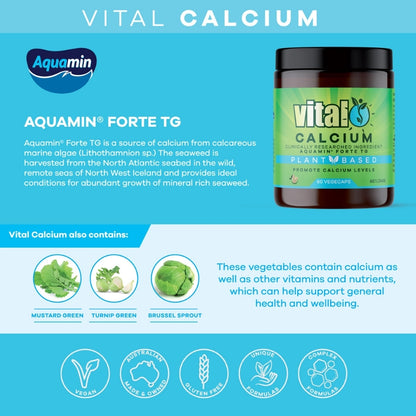 Vital Plant Based Calcium Supplement 60 Vegecaps