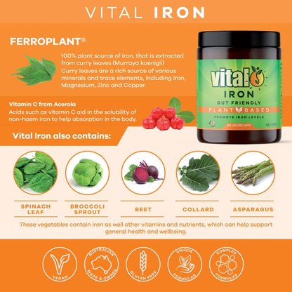 Vital Plant Based Iron Supplement 60 Vegecaps