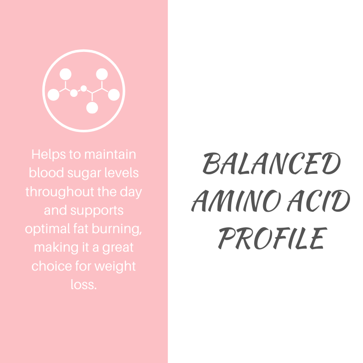 Vital Protein Hemp Blend Vanilla