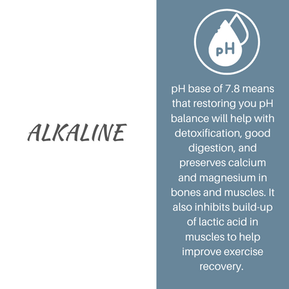 Vital Performance Protein Formula