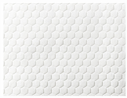 Biatain Fiber 19Cmx25Cm (Single Dressing)