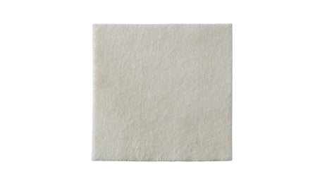 Biatain Alginate Ag 10Cmx10Cm (Single Dressing)
